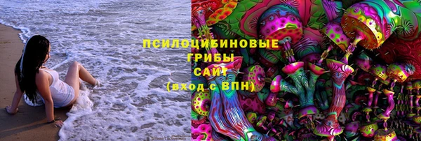 2c-b Вяземский
